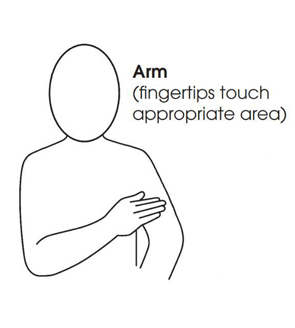 arm