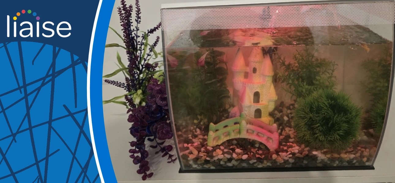 Selina enjoying her pet fish tank at Willow Tree Lodge, supporting wellbeing and daily routine